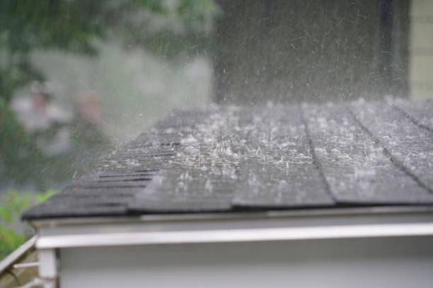 Best Skylight Installation and Repair  in The Dalles, OR